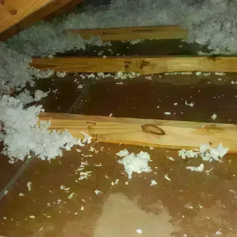 Attic Water Damage in Leominster, MA